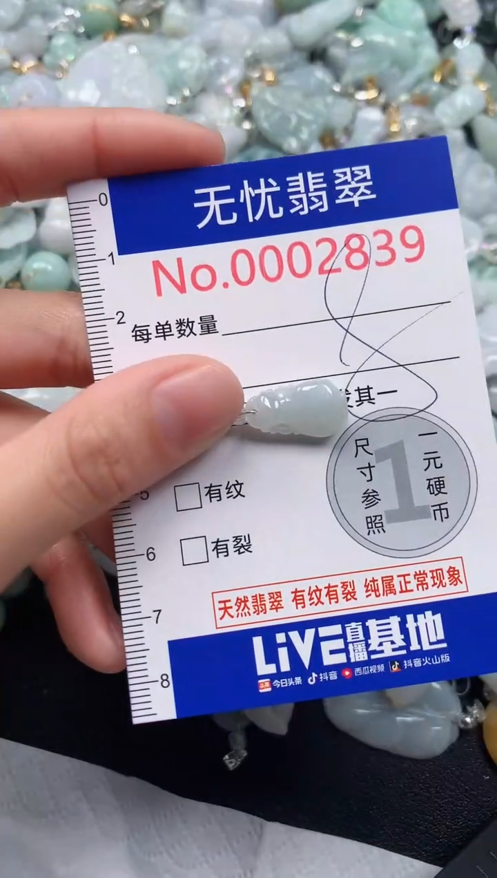 颈饰未镶嵌翡翠2839