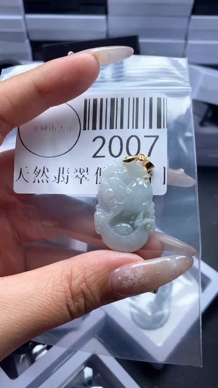 颈饰未镶嵌翡翠2007