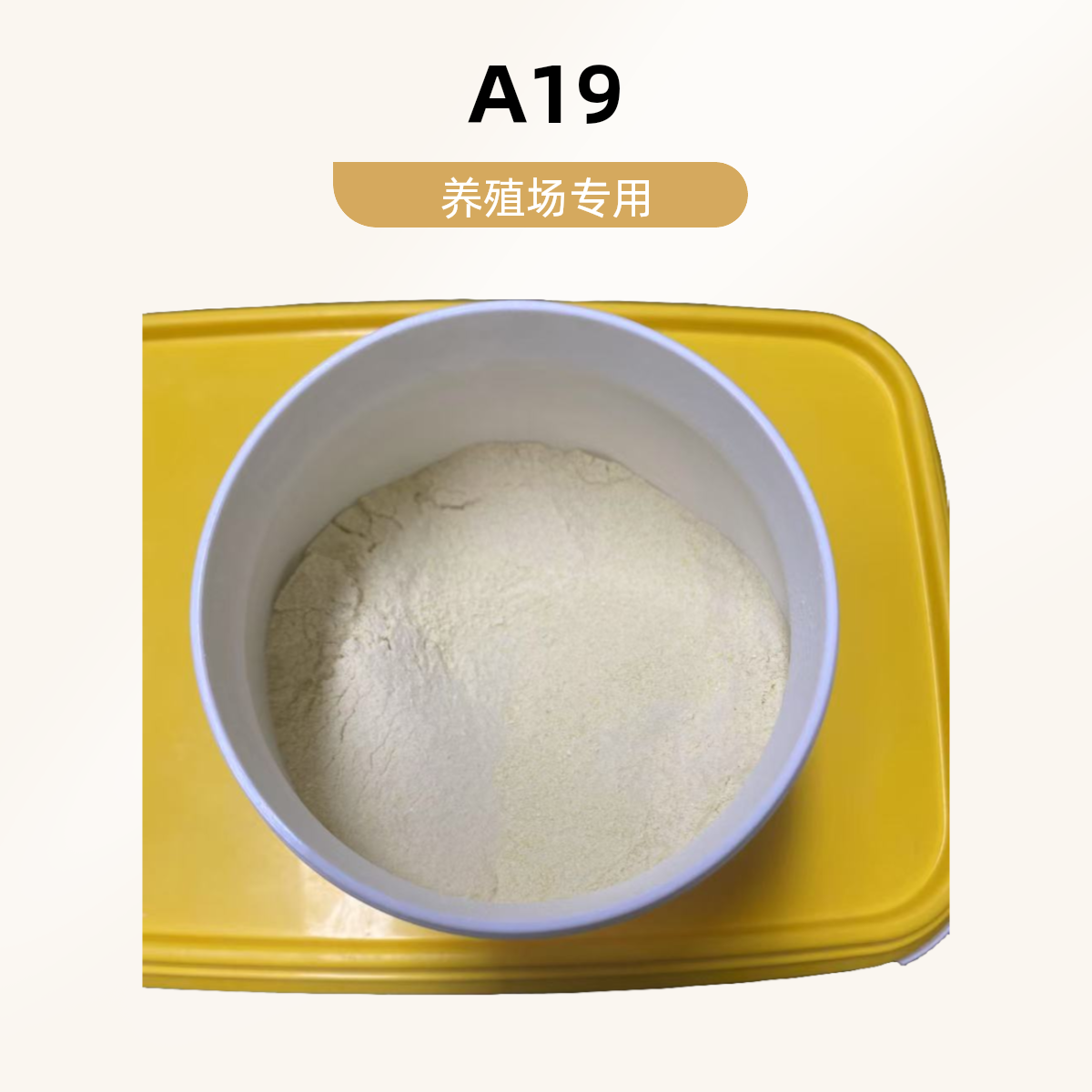 （养殖场自用）A19 鹦鹉奶粉 半毛 雏鸟 