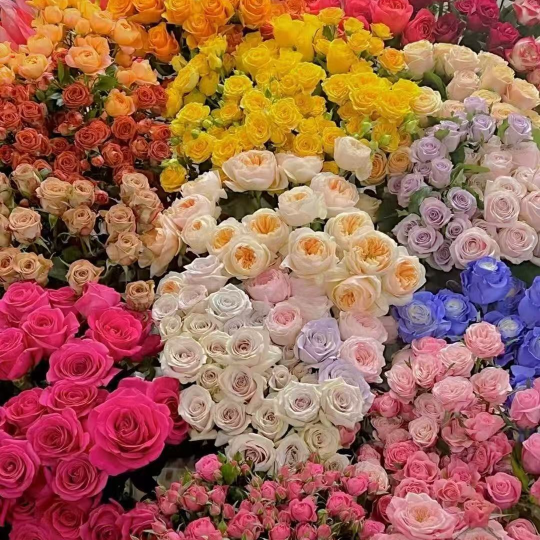 【云季花鲜】不指定30枝全场鲜花一单包邮二单升级冷链送配草