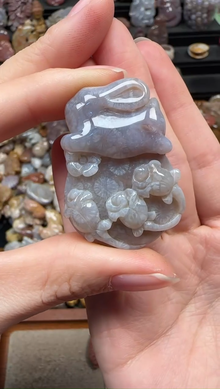 颈饰未镶嵌硅化珊瑚（珊瑚玉）661