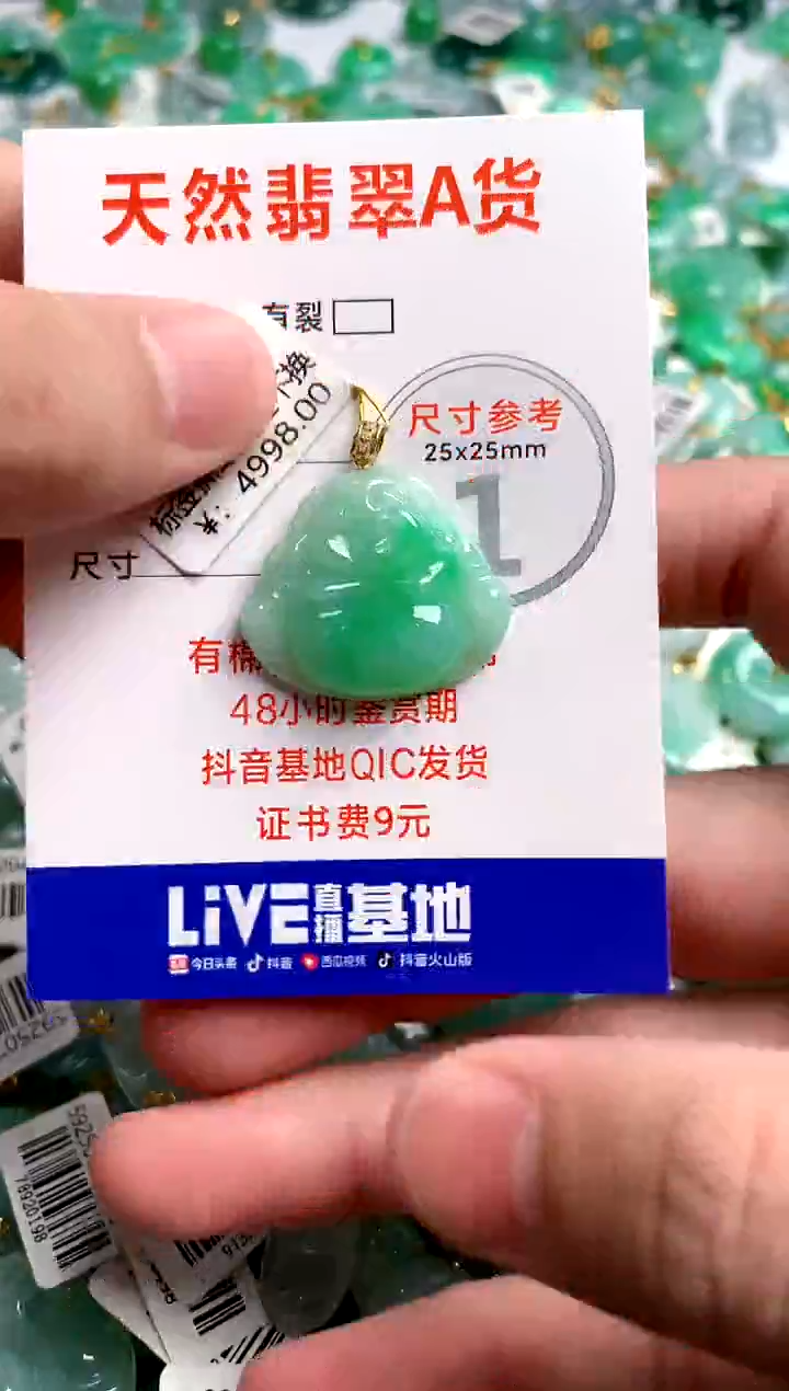 翡翠18K金镶嵌颈饰0784492925