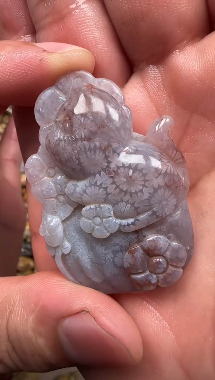 硅化珊瑚（珊瑚玉）未镶嵌颈饰179