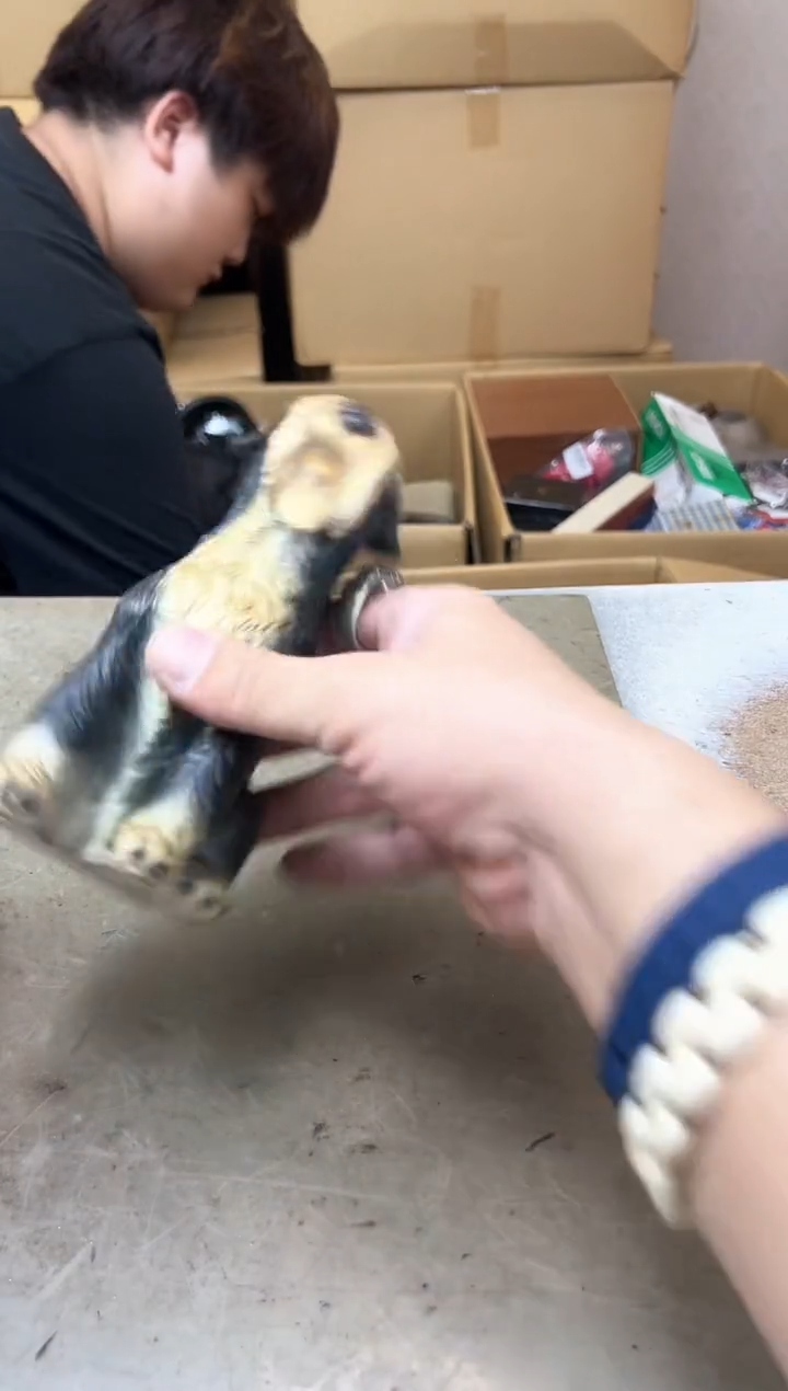 瓷片910聚宝缘优品精选