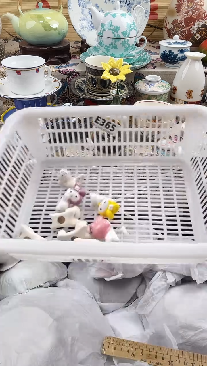 J****o==============e365