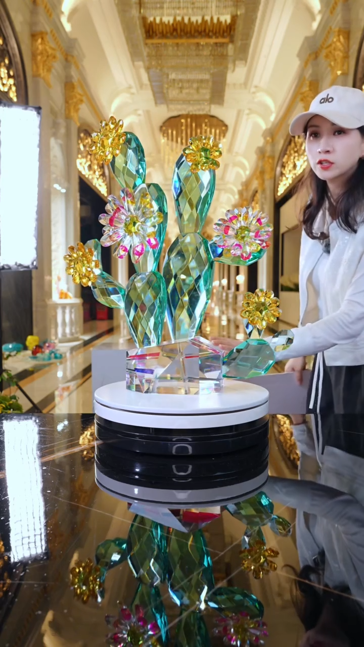 摆件AJ1112778仙人掌艺术摆件