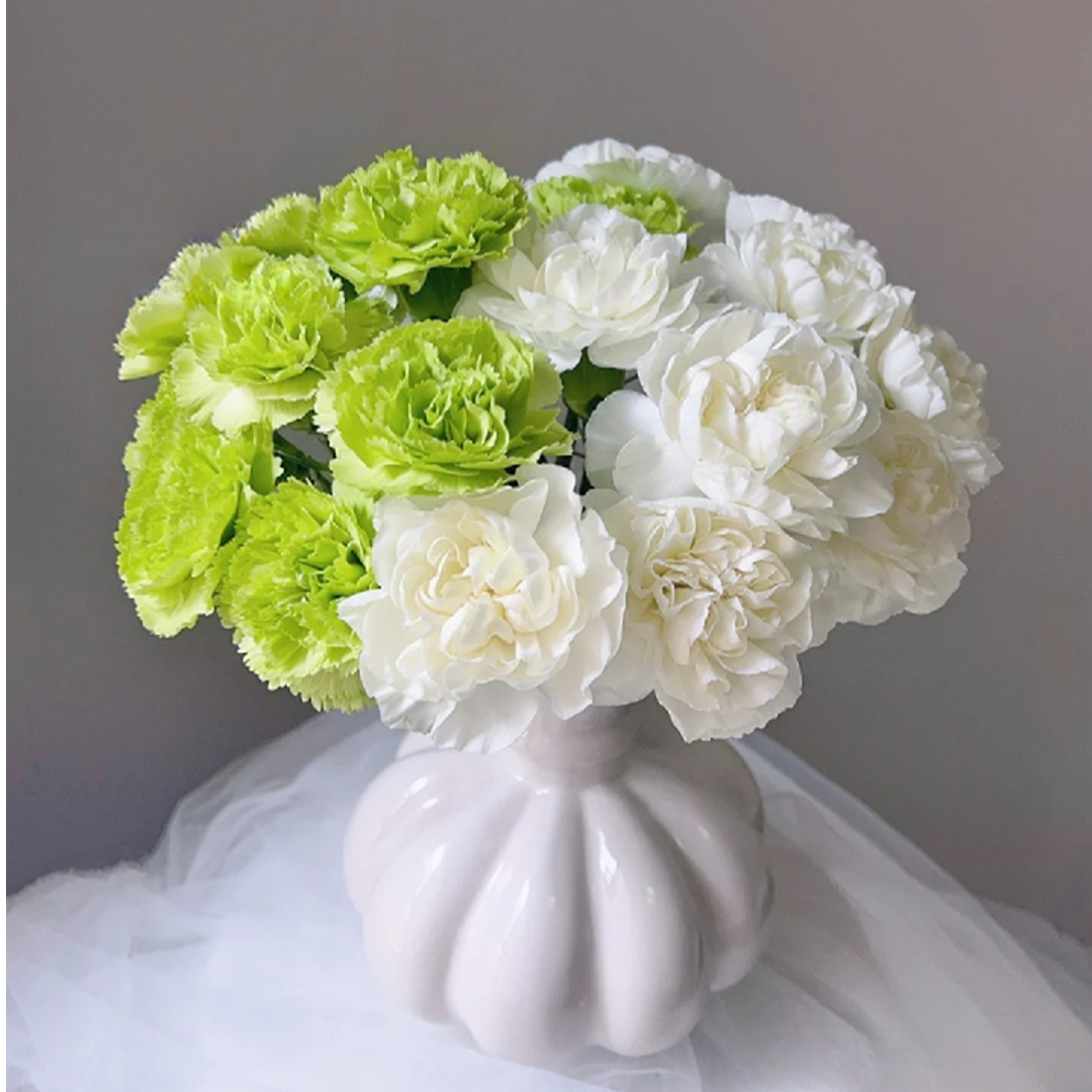 【半岛花铺】薄荷冰白+绿康乃馨 任意两单以上顺丰/京东冷链包邮