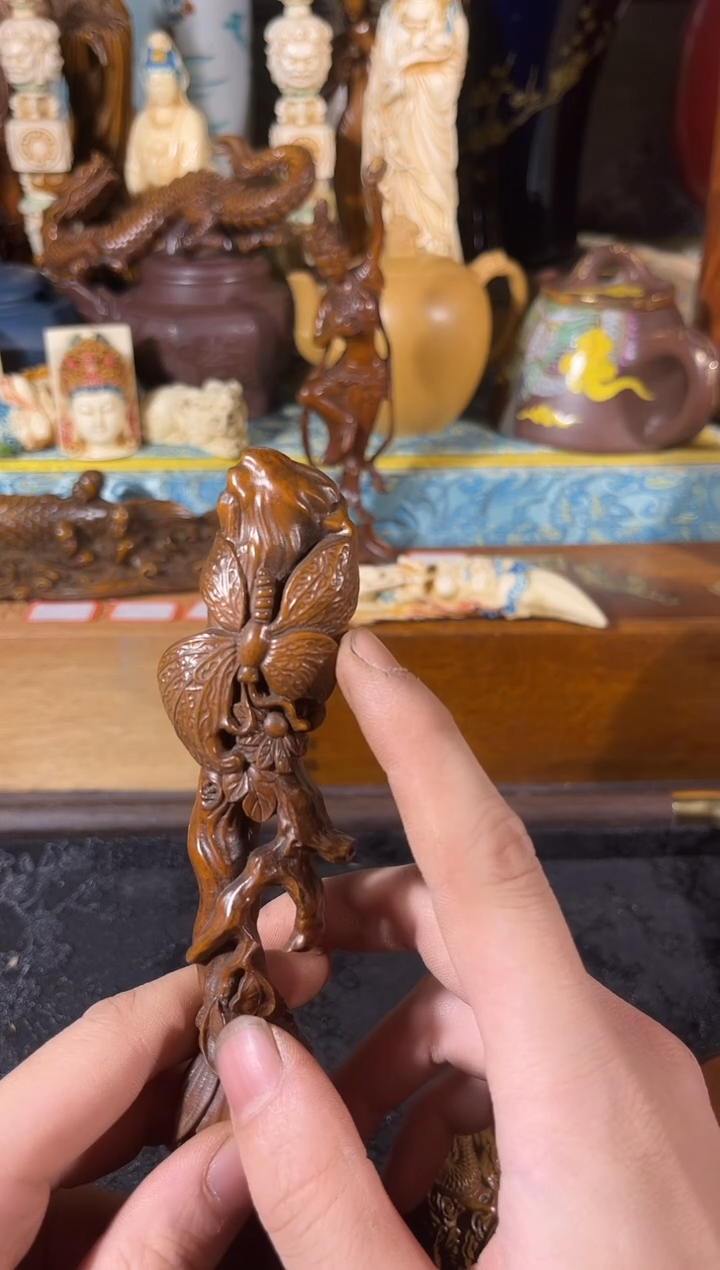 黄杨木11111111111