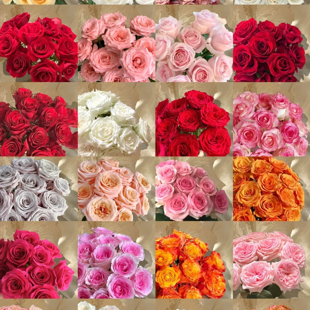 【源头优选】玫瑰-不选色-任意2单鲜花包邮发货后不支持退款