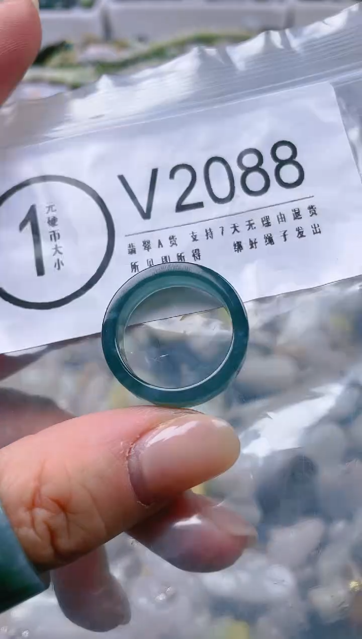 【闪购商品】翡翠颈饰未镶嵌20圈口/V/翡翠A货一图一物