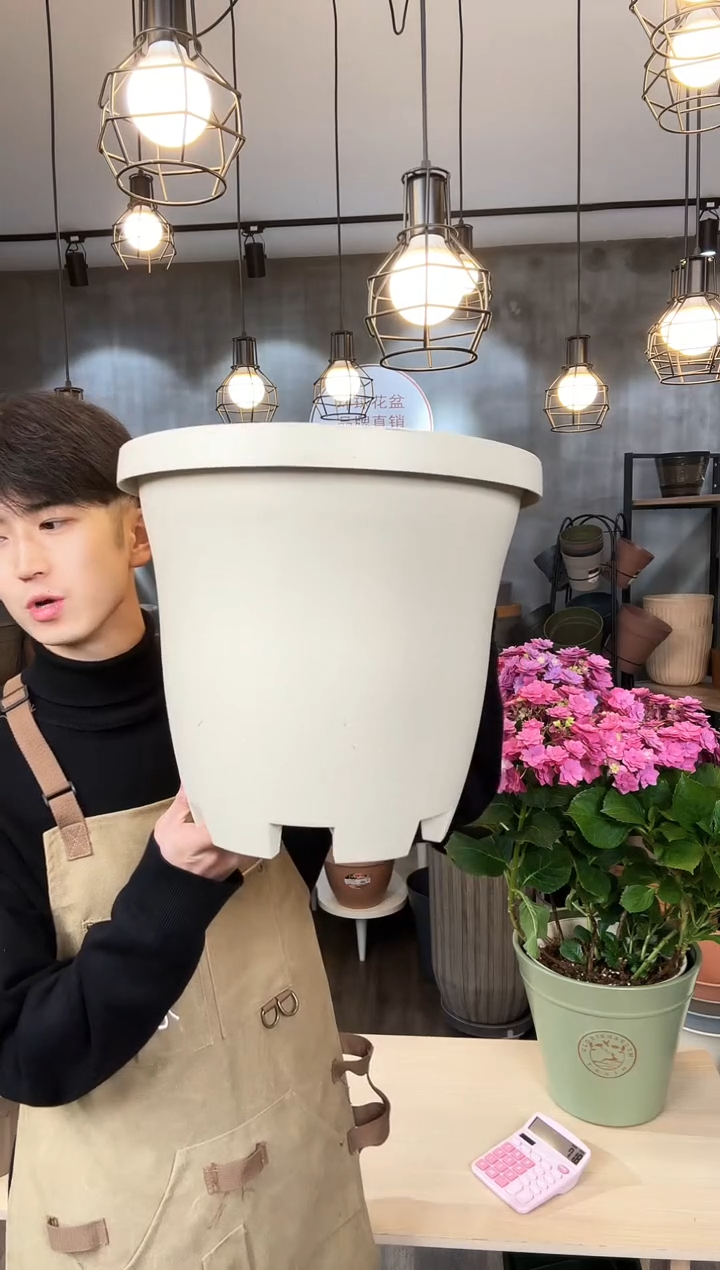 【闪购商品】塑料尼斯瑞米色4只不带托