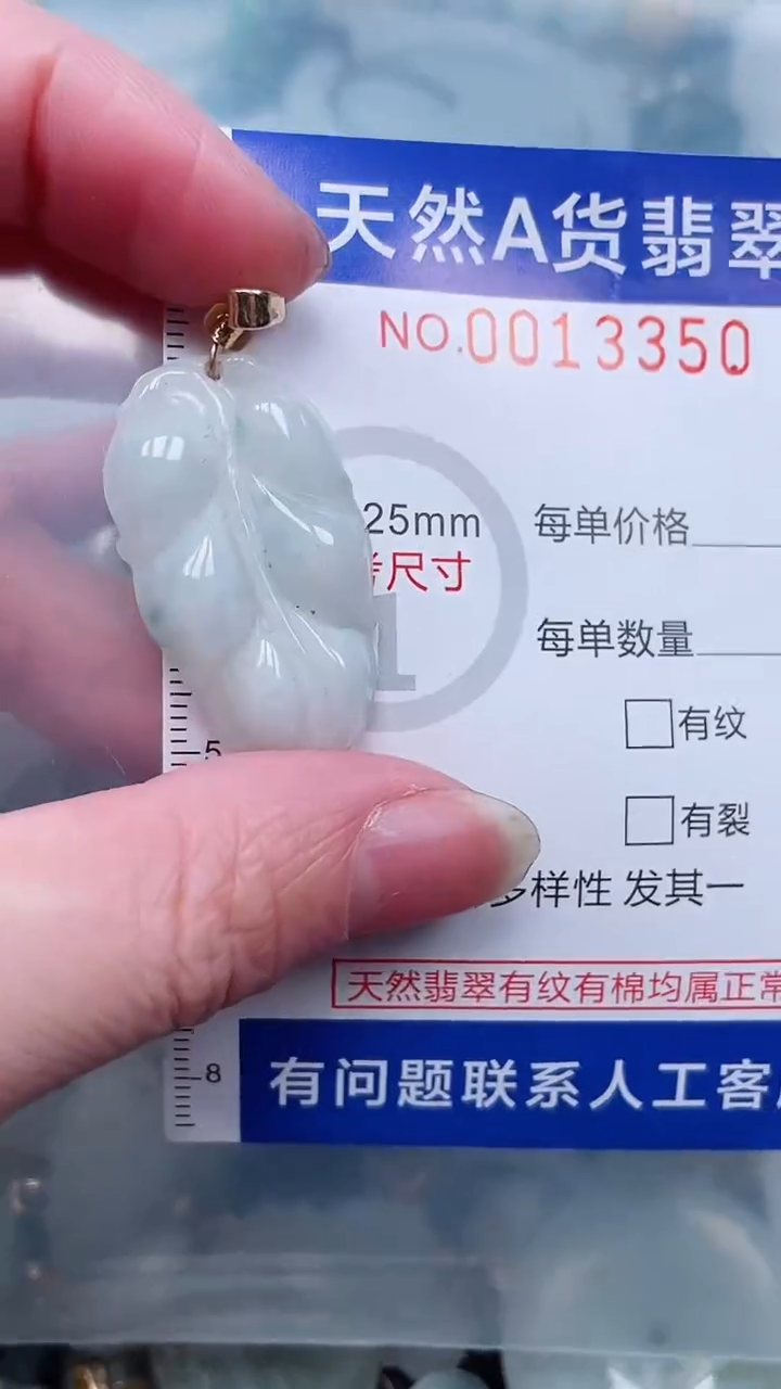 翡翠未镶嵌吊坠(赠链)1