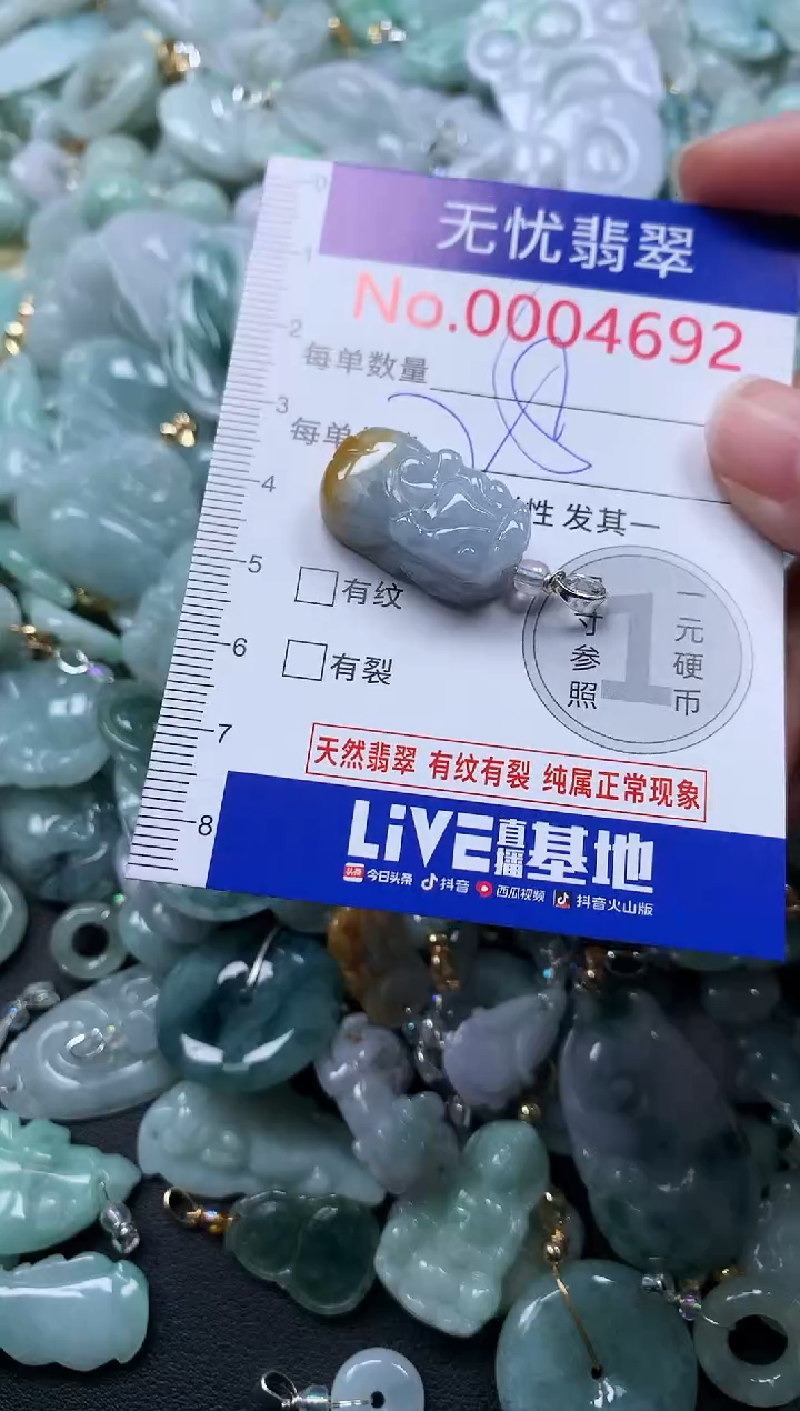 颈饰未镶嵌翡翠4692