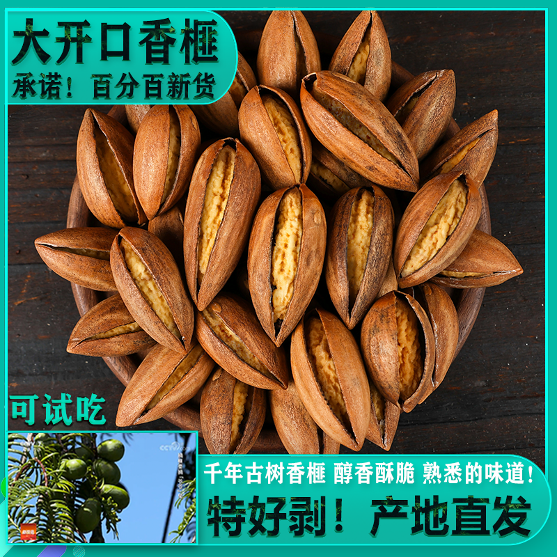 【煮夫专属】大开口香榧特好剥2025新货新鲜现炒老树香榧产地直发