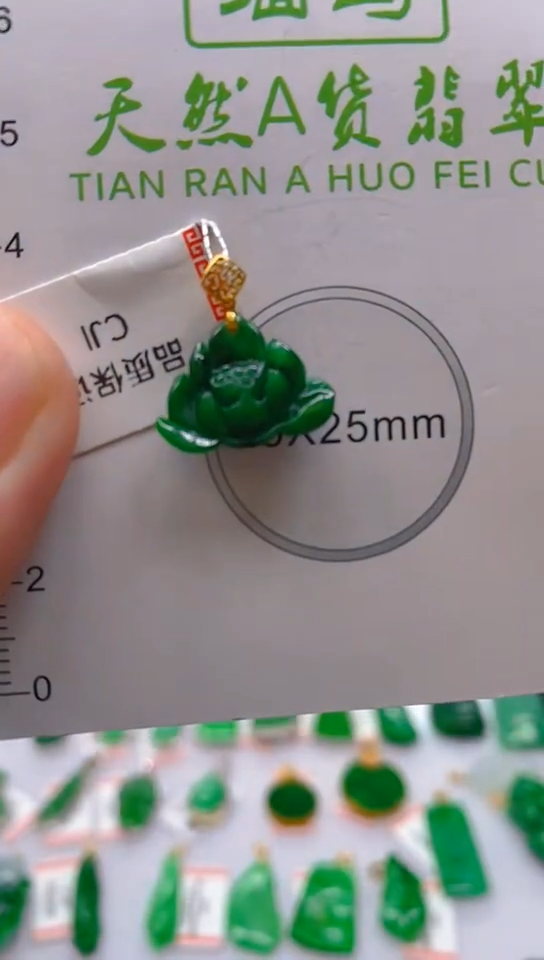 【闪购商品】翡翠颈饰18K金镶嵌 新号开播，全场乱卖