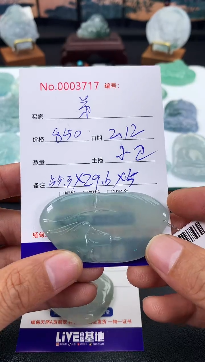 【闪购商品】翡翠颈饰未镶嵌无相