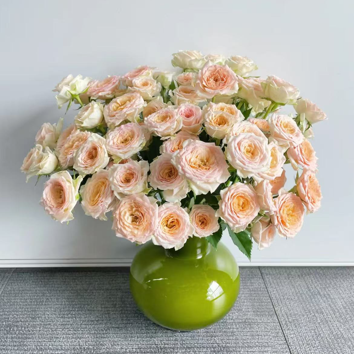 【一品花集】【桑赛尔】稀有多头玫瑰（注意：带包装醒花哦~）