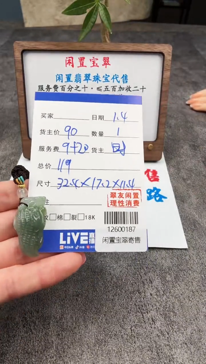 颈饰未镶嵌翡翠12600187