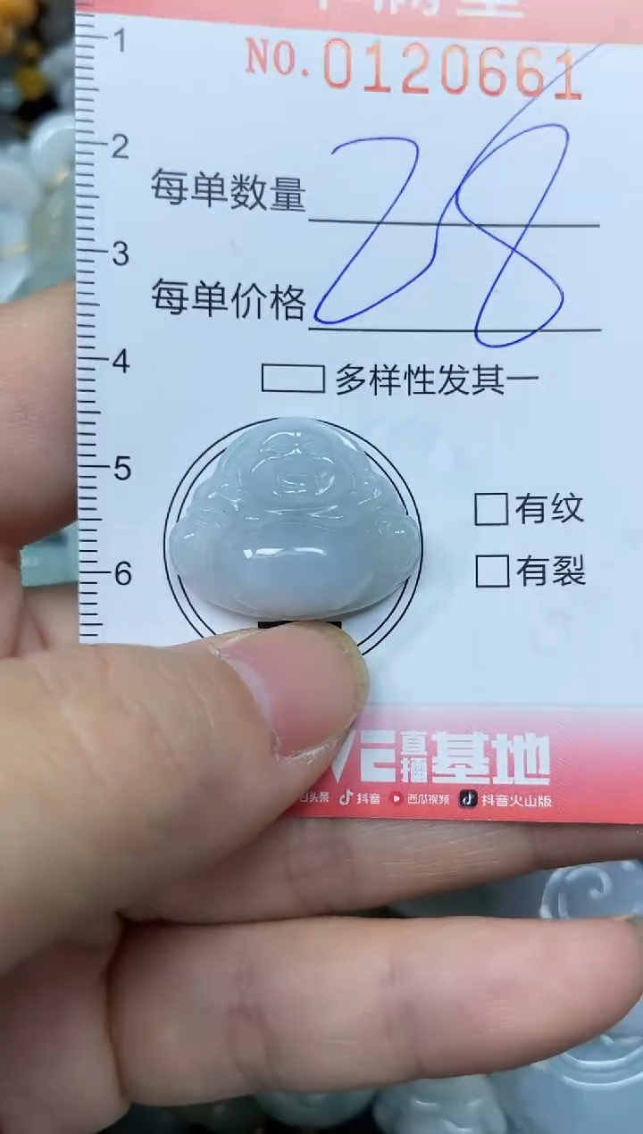 翡翠未镶嵌颈饰闪购0120661