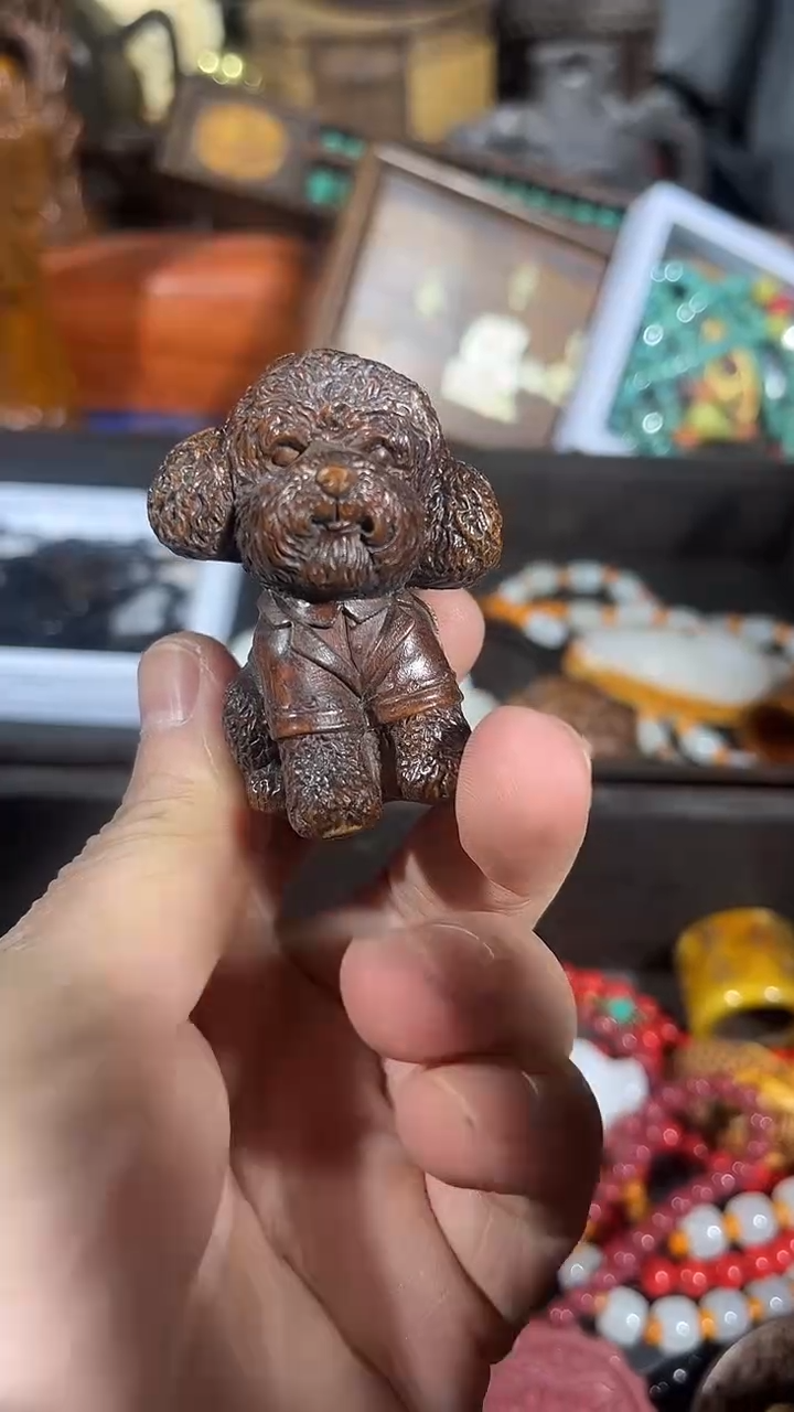 【闪购商品】黄杨木11111111111111111111