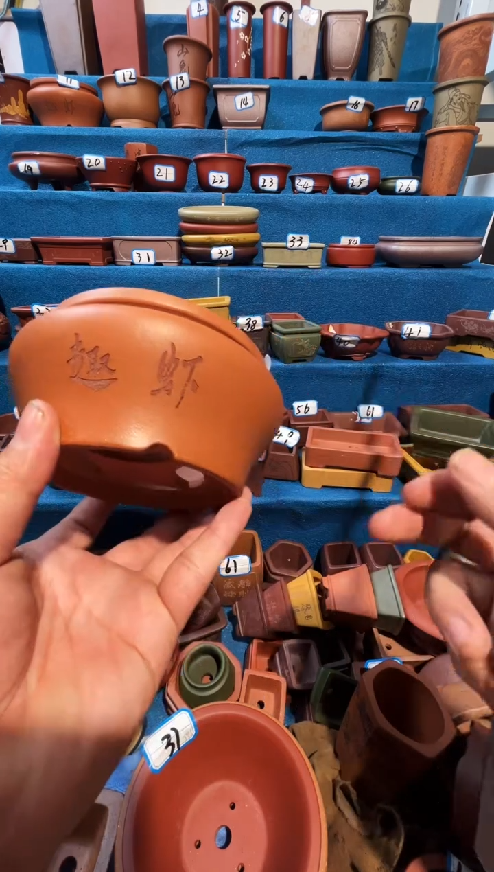 【闪购商品】紫砂紫砂花盆11*6