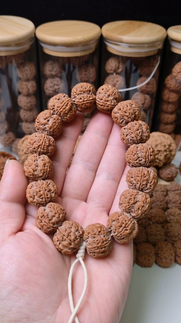 手串金刚菩提0巨肉梅花  20