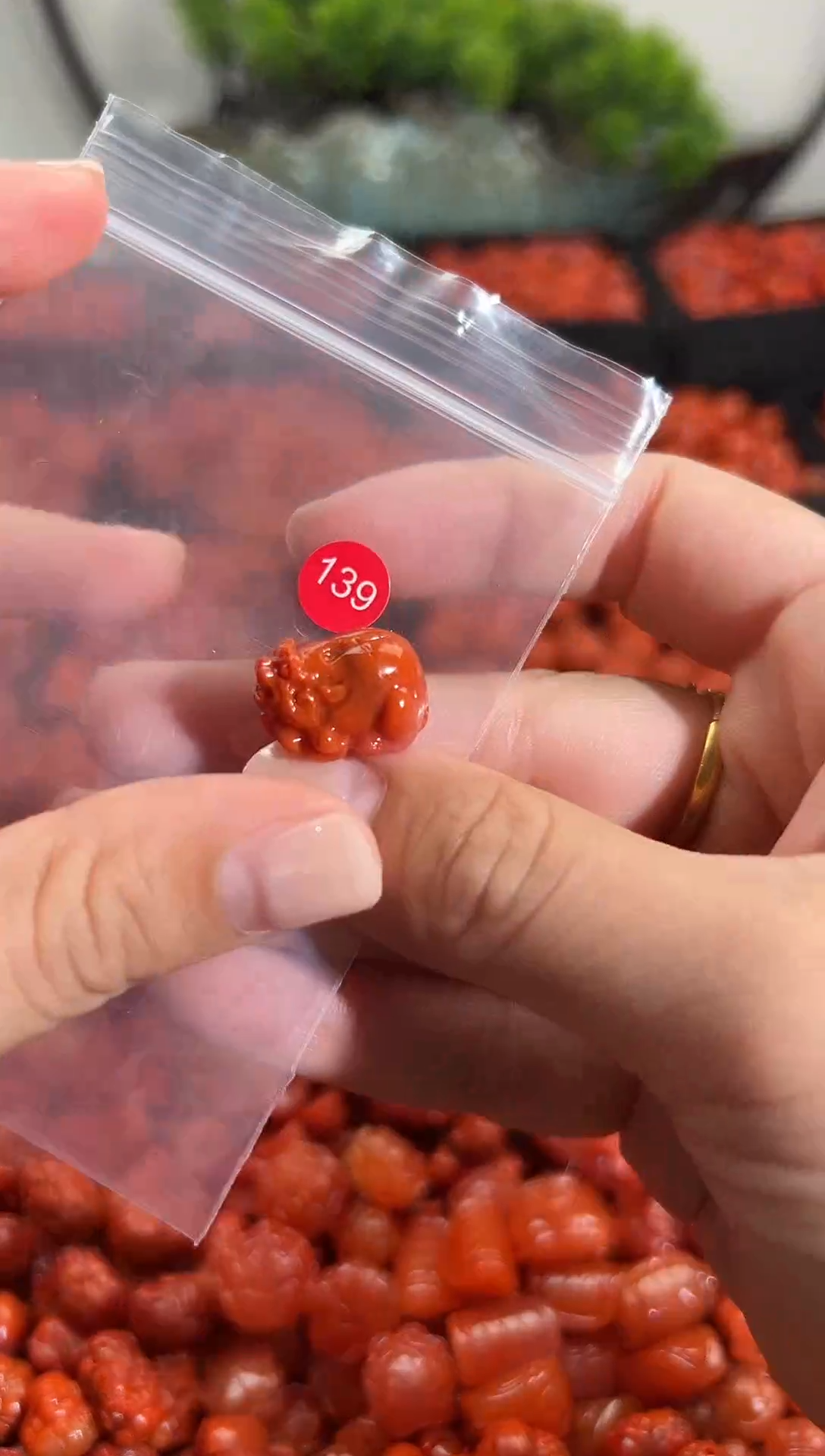 颈饰未镶嵌南红玛瑙1