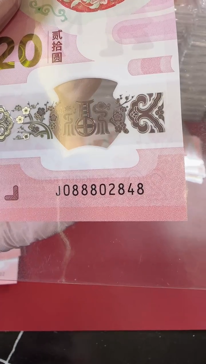 【闪购商品】塑料2025蛇钞单张裸啊啊啊啊啊啊