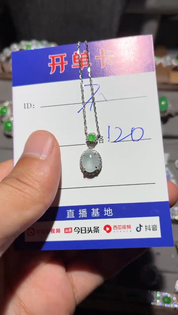 颈饰银S925镶嵌翡翠不*向 不点