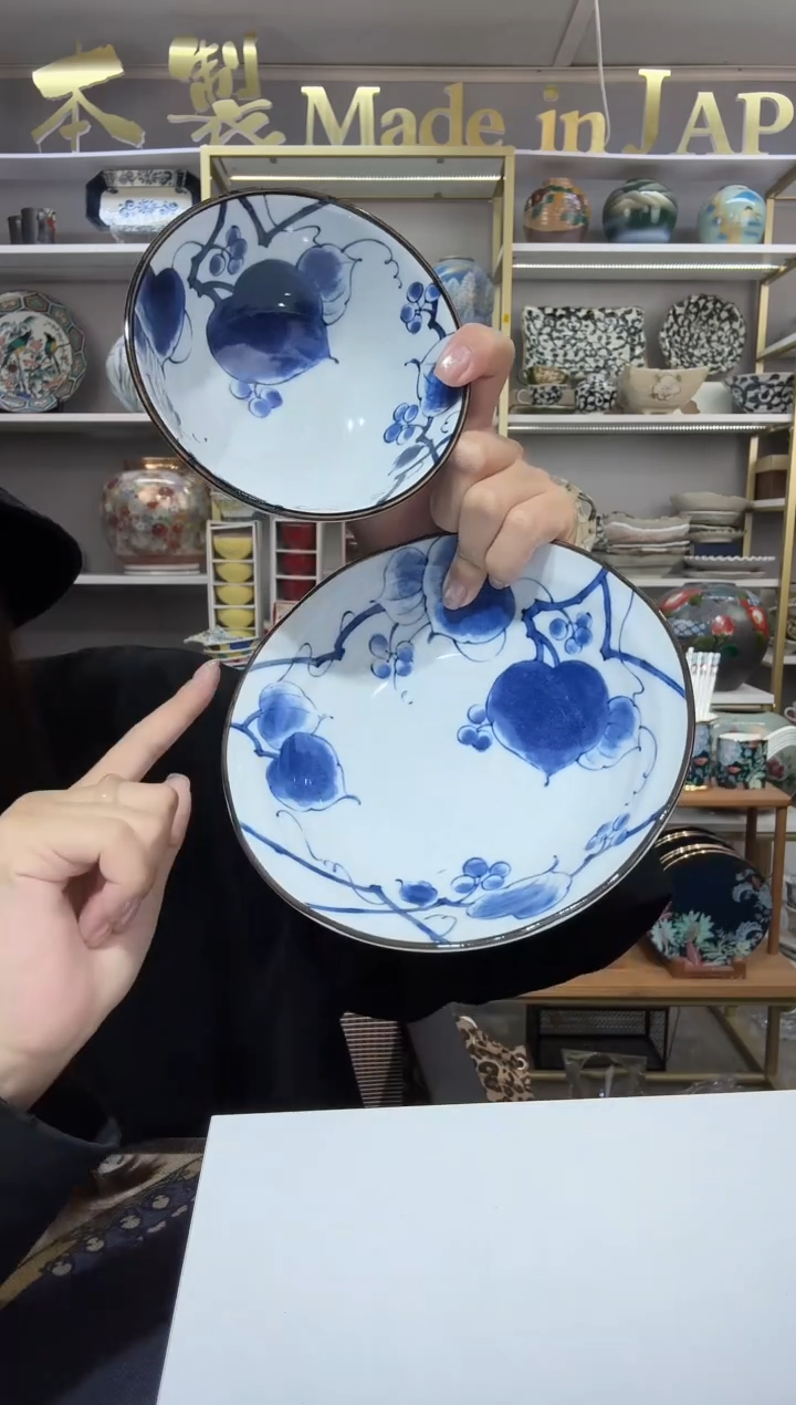 陶瓷美浓烧山归来陶瓷深盘16.7cm一只+12厘米饭碗一只