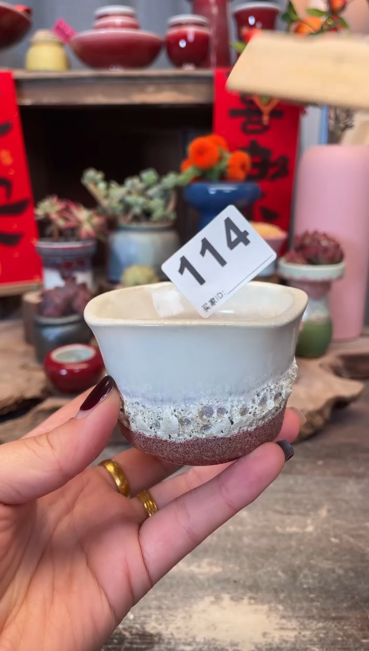 【闪购商品】摆件114知木小芳花盆