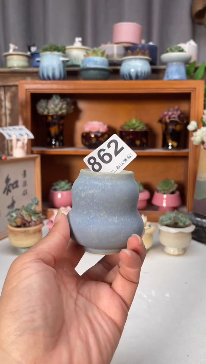 瓷片862小芳直播编号