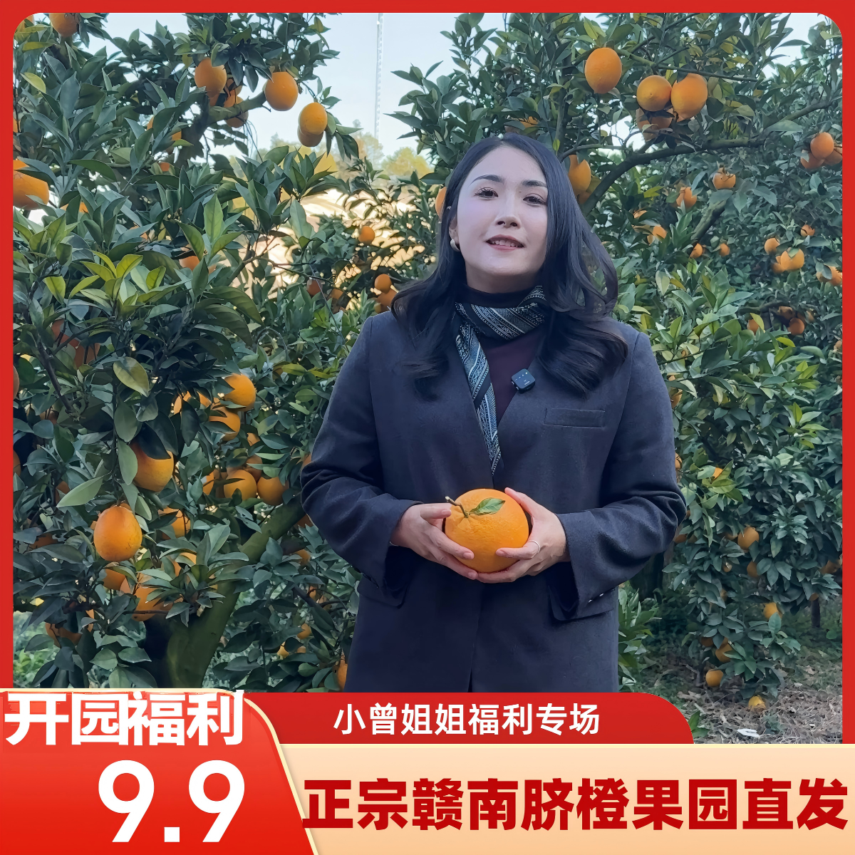 正宗赣南脐橙，小曾姐姐宠粉福利