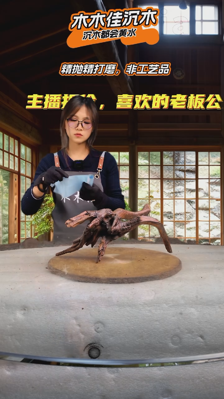 C****m木木佳沉木鱼缸造景-954