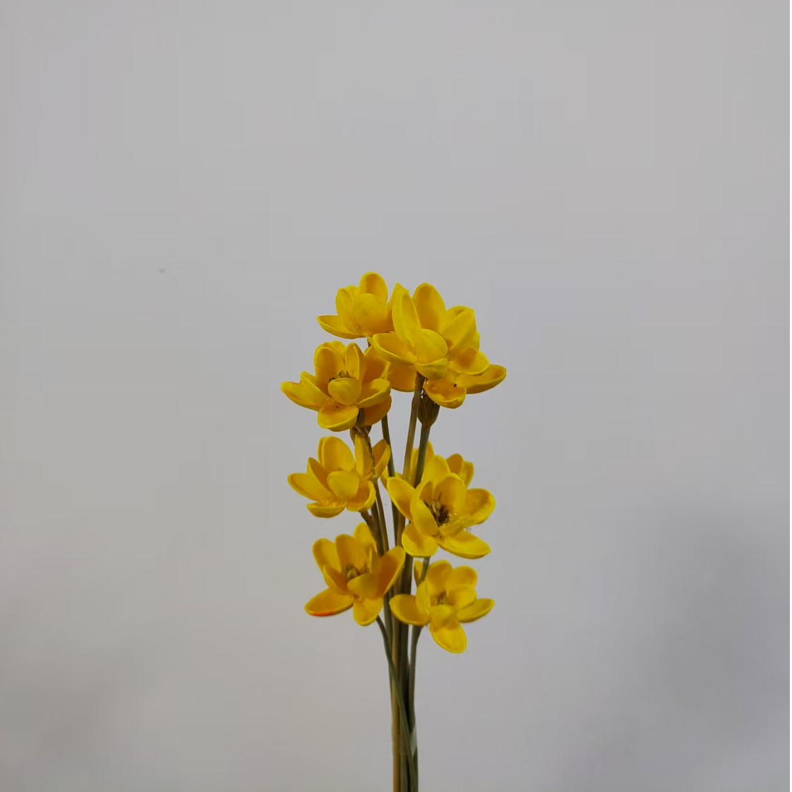 永生花幸运兰花束手工制作浪漫真花花束室内装饰摆件