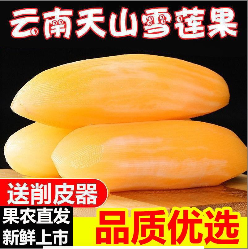 【低糖】现挖云南天山雪莲果当季新鲜清甜脆嫩多汁水果