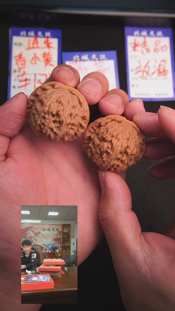 【闪购商品】文玩核桃把件111号40白狮子  深清