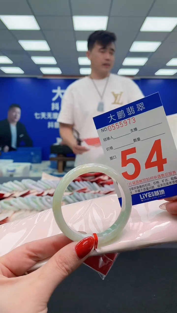 未镶嵌手镯翡翠乌*梧 AAAAAAAAA
