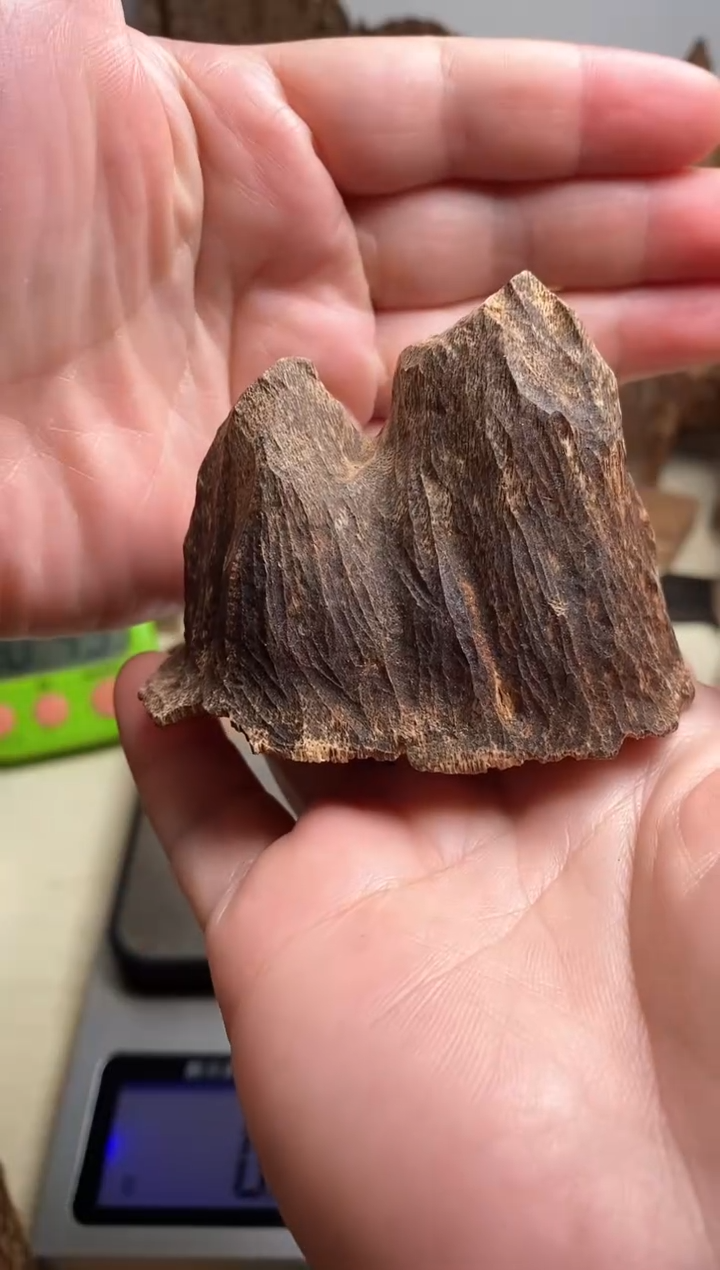 沉香碎屑沉香海南沉香原料22克