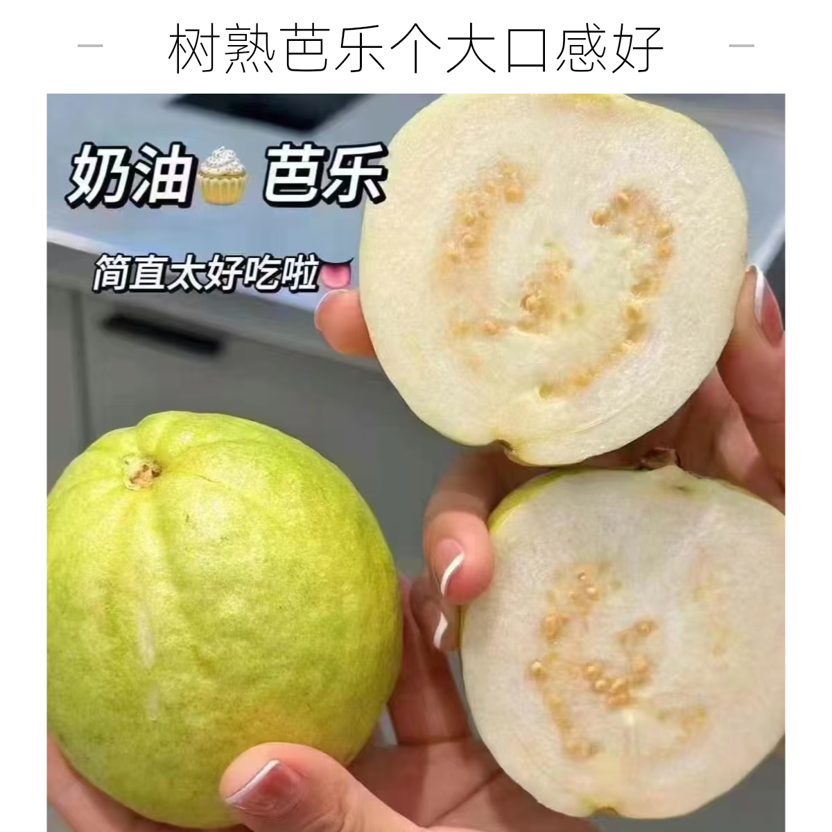 奶油芭乐一箱约2.5斤5-8个 放黄吃口感更好单果230g起 有花皮 不影响吃