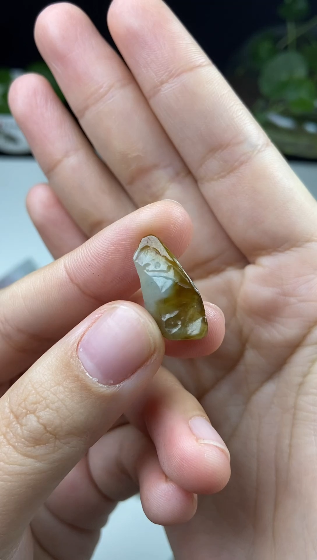 未镶嵌定制翡翠翡翠片料定制未镶嵌11.27-8包工