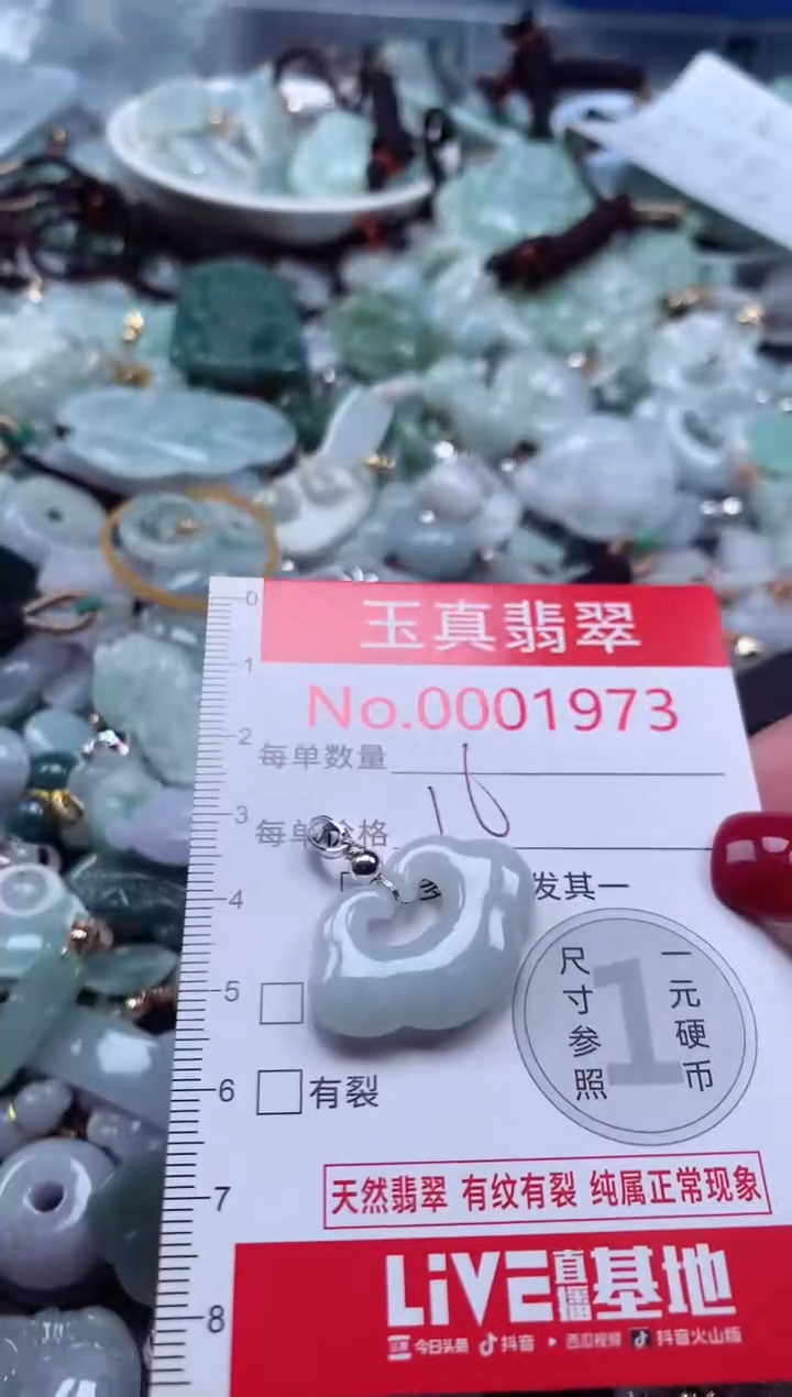 颈饰未镶嵌翡翠1973