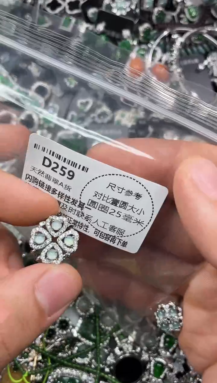 颈饰未镶嵌翡翠D259项链