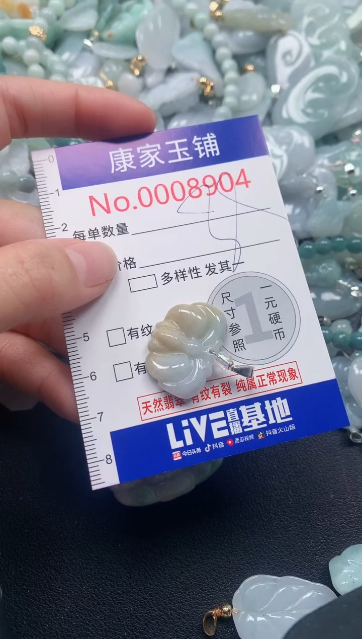 颈饰未镶嵌翡翠8904