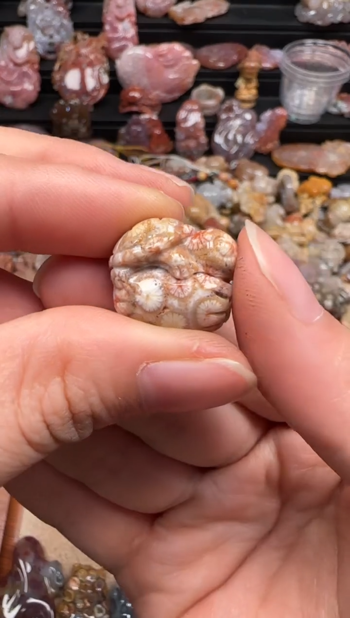 【闪购商品】硅化珊瑚（珊瑚玉）颈饰未镶嵌092