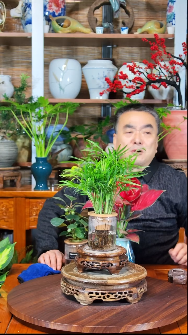 无花朵红****°水之韵水培小椰子