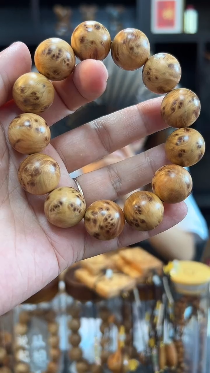 1.8瘤花圆珠单圈太行