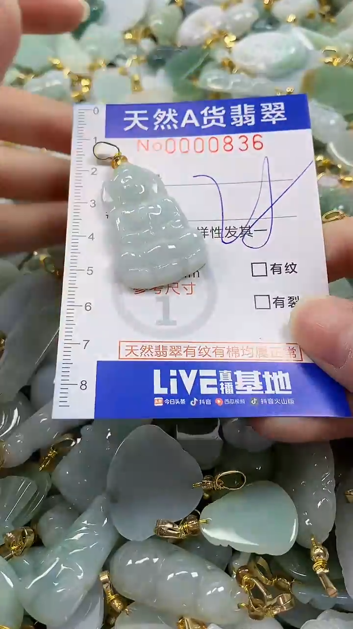 颈饰未镶嵌翡翠纯天然a货翡翠