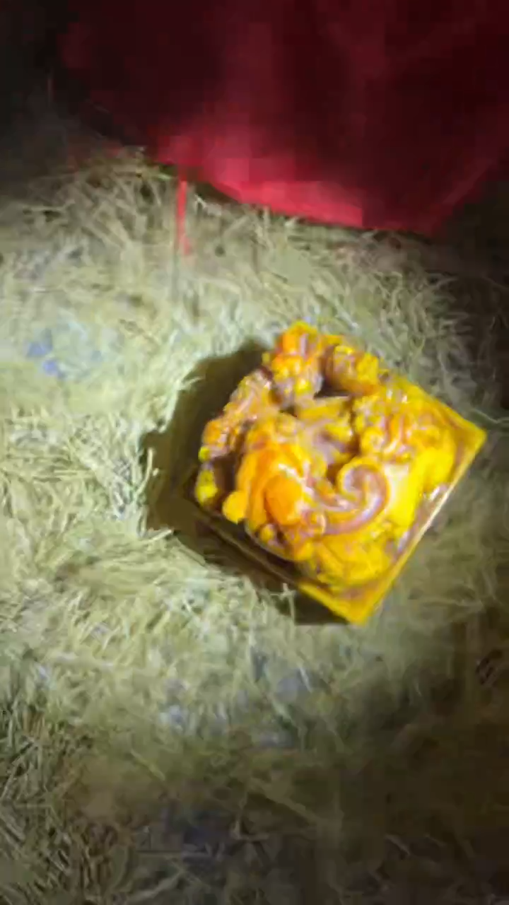 木木木木木木木木木木木木