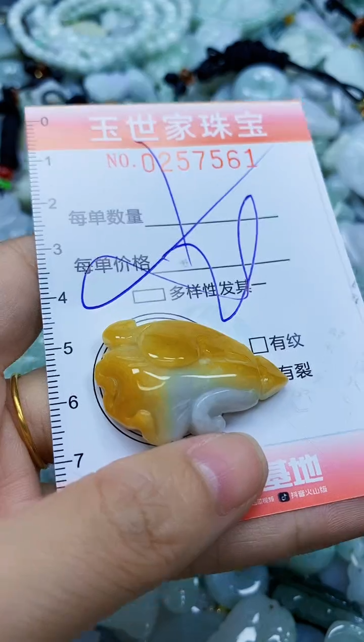 翡翠未镶嵌颈饰闪购0257561多样性发其一